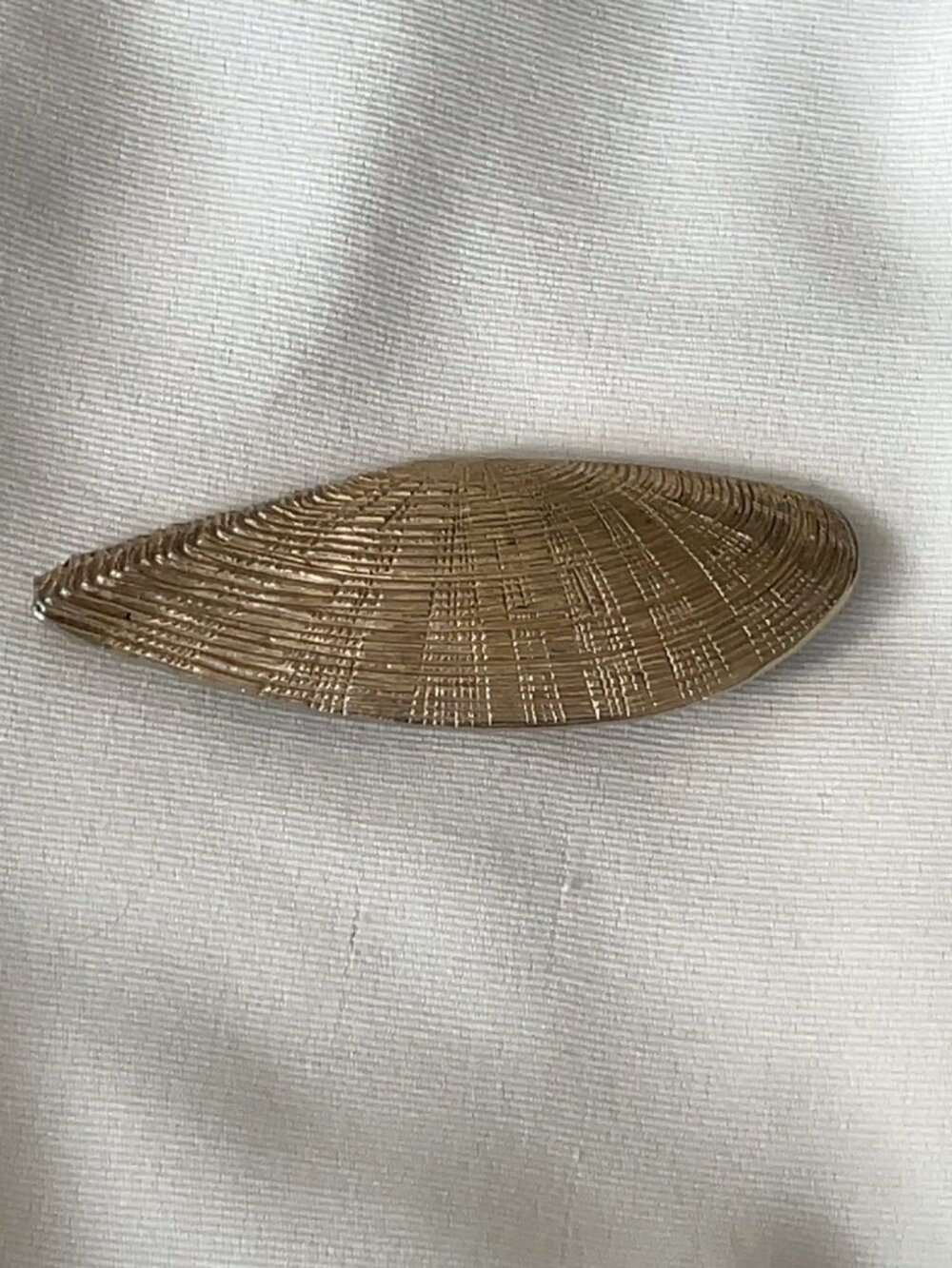 Vintage Castlecliff Gold Tone Shell Brooch Signed
